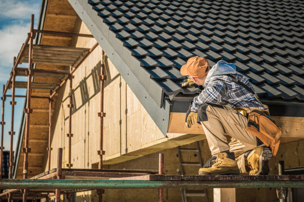 Best Roof Maintenance and Cleaning  in Clio, MI