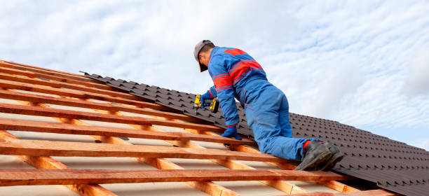 Best Roof Maintenance  in Clio, MI