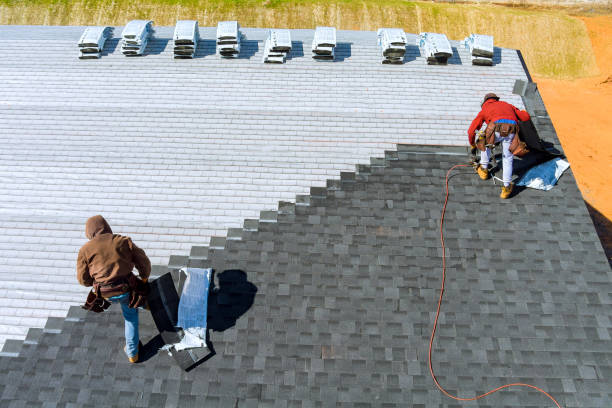 Best Gutter Installation and Repair  in Clio, MI