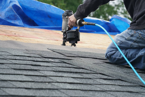 Best Roof Ventilation Installation  in Clio, MI