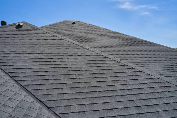 Best Skylight Installation and Repair  in Clio, MI